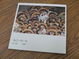 阪靖之　ミニ写真本「ねこいろいろ」