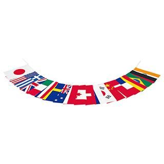 EVERNEW テトロン万国旗連結式 <BR>EKA541<BR>