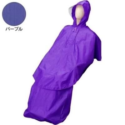 쥤󡡥ѥ졼ȥץѡץ <BR> 402-609 <BR>