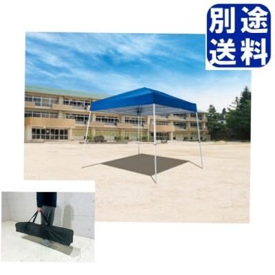 <img class='new_mark_img1' src='https://img.shop-pro.jp/img/new/icons15.gif' style='border:none;display:inline;margin:0px;padding:0px;width:auto;' />TOEILIGHT 󥿥åƥȣģͣʣ <BR> G1894 <BR>