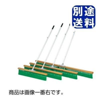 TOEILIGHT ȥ֥饷ࣱ <BR> B6284 <BR>