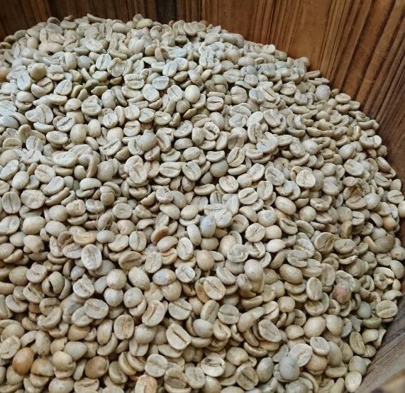 まめやコーヒー富山総曲輪通りのシングル焙煎豆「サントスNo.2 まめやコーヒー富山総曲輪通りのシングル焙煎豆「サントスNo.2