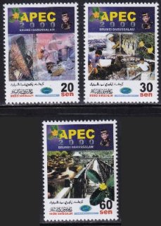 ai1223 ֥ͥ 2000 APEC #559-61