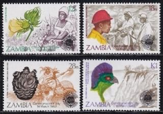ai1307 ӥ 1983 Ϣˮ åȥ  ӥȥꥢ 