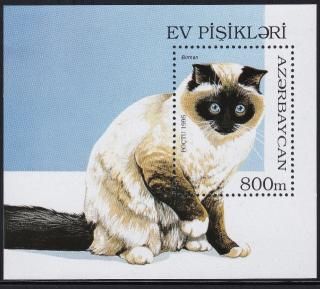 tcat0000 Х ͥ 