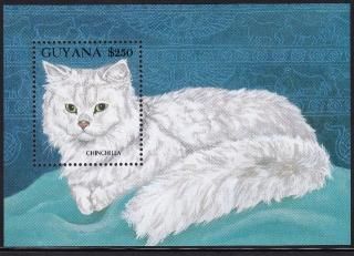 tcat0002  ͥ 