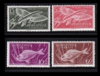 ak2865 ڥΥϥ 1954  #74-5,B31-2