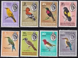 ak6260 ٥奢ʥ 1961 ̾ ĻΤ8 #180-7