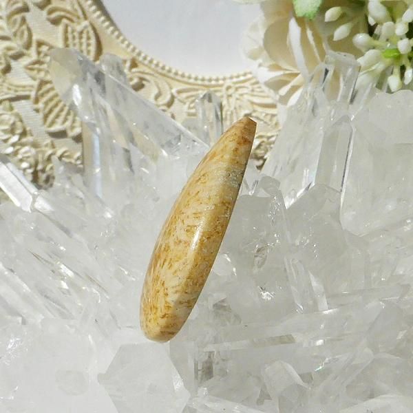 フォッシルコーラル・ルース（穴あき） - Crystal Life☆天然石
