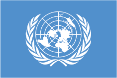 国連旗
