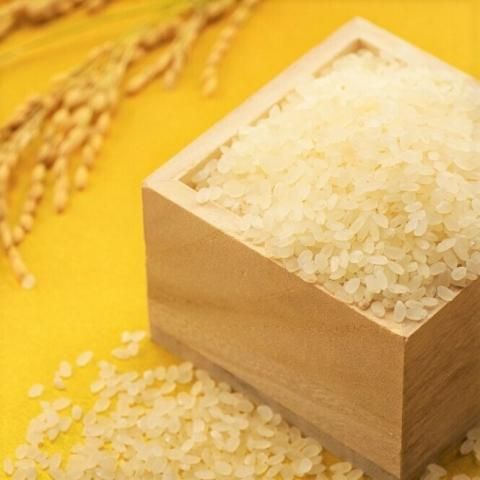 ڤʸƤפޤۿ㸩 »ҥ <br>2kg/5kg