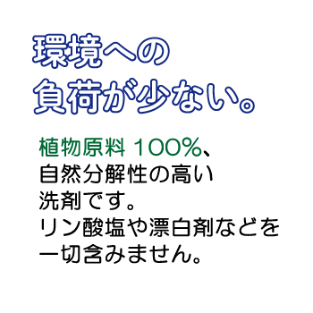 ʲ