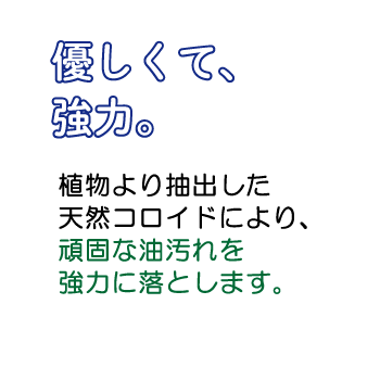 ʲ