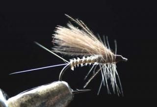 完成品フライ - Trout Shop-トラウトショップ- 完成品フライ - Trout Shop-トラウトショップ-