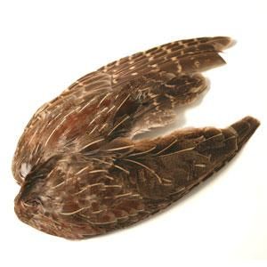 パートリッジ　コンプリート フレンチパートリッジ コンプリート