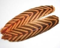 トラウトショップ】フロリカンバスタード/ピーコックバスタード