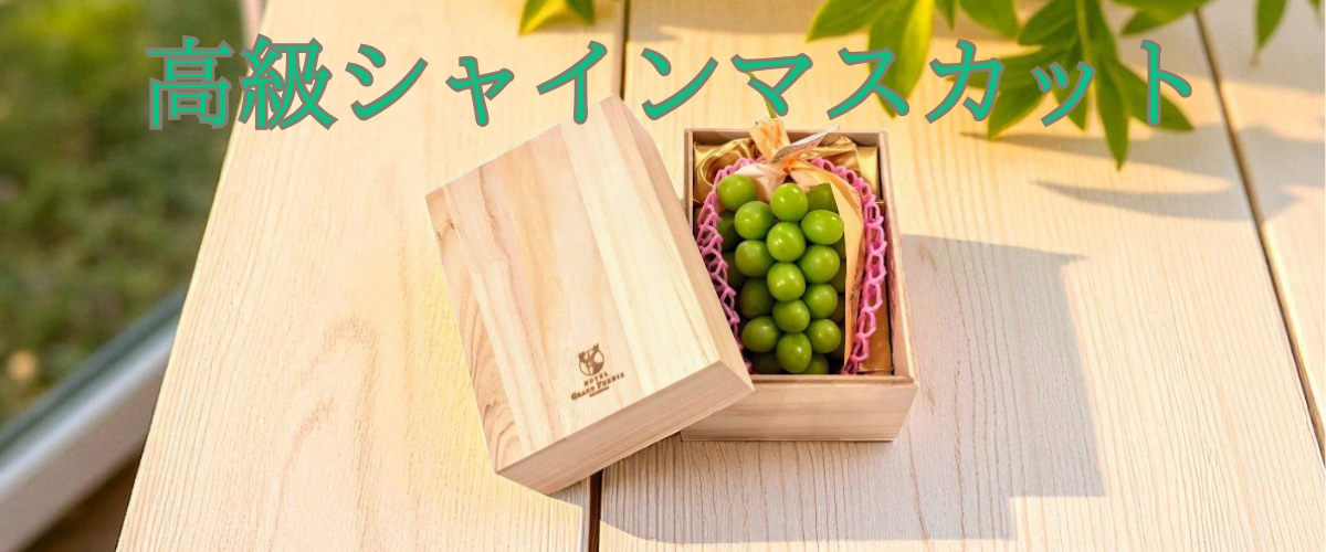 㥤ޥå