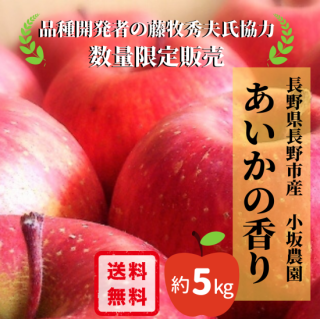 <img class='new_mark_img1' src='https://img.shop-pro.jp/img/new/icons62.gif' style='border:none;display:inline;margin:0px;padding:0px;width:auto;' />特級品 「あいかの香り」約5kg 10玉〜12玉