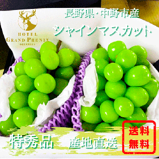 ½©¤Î¥·¥ã¥¤¥ó¥Þ¥¹¥«¥Ã¥È2˼¥»¥Ã¥È¡Ú¹ç·×1.2Ô¡Û<img class='new_mark_img2' src='https://img.shop-pro.jp/img/new/icons61.gif' style='border:none;display:inline;margin:0px;padding:0px;width:auto;' />
