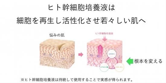 ハイグレードヒト幹細胞培養エキス配合｜美容液
