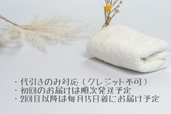 3本セット】 Bi-face 頭皮セラム - 【公式本店】Bi-face化粧品