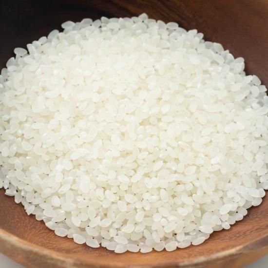 令和6年産 サキホコレ特別栽培米 精米5kg - (株)鈴木又五郎