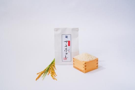令和6年産 サキホコレ特別栽培米 精米10kg - (株)鈴木又五郎 令和6年産 サキホコレ特別栽培米 精米10kg - (株)鈴木又五郎