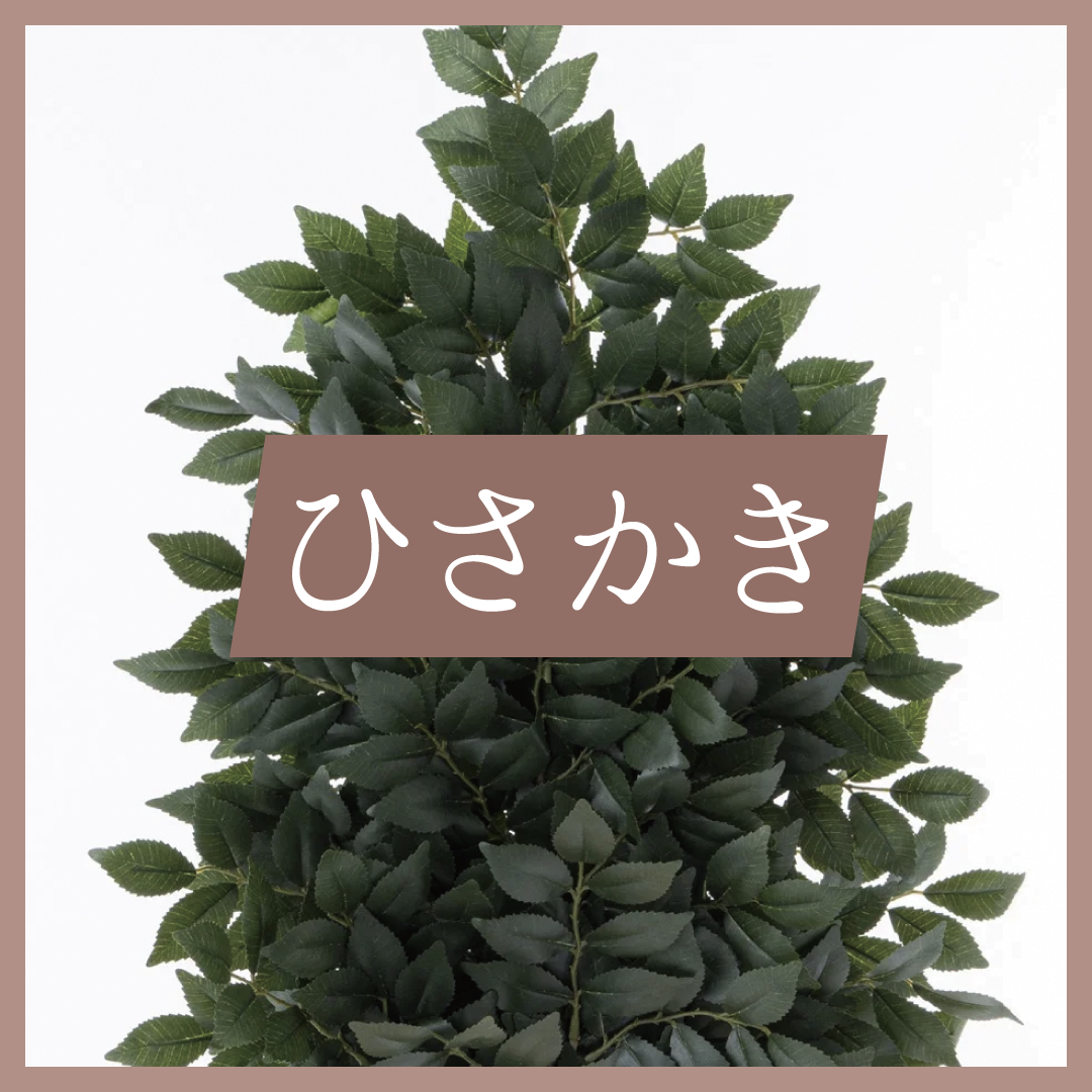 Ҥ