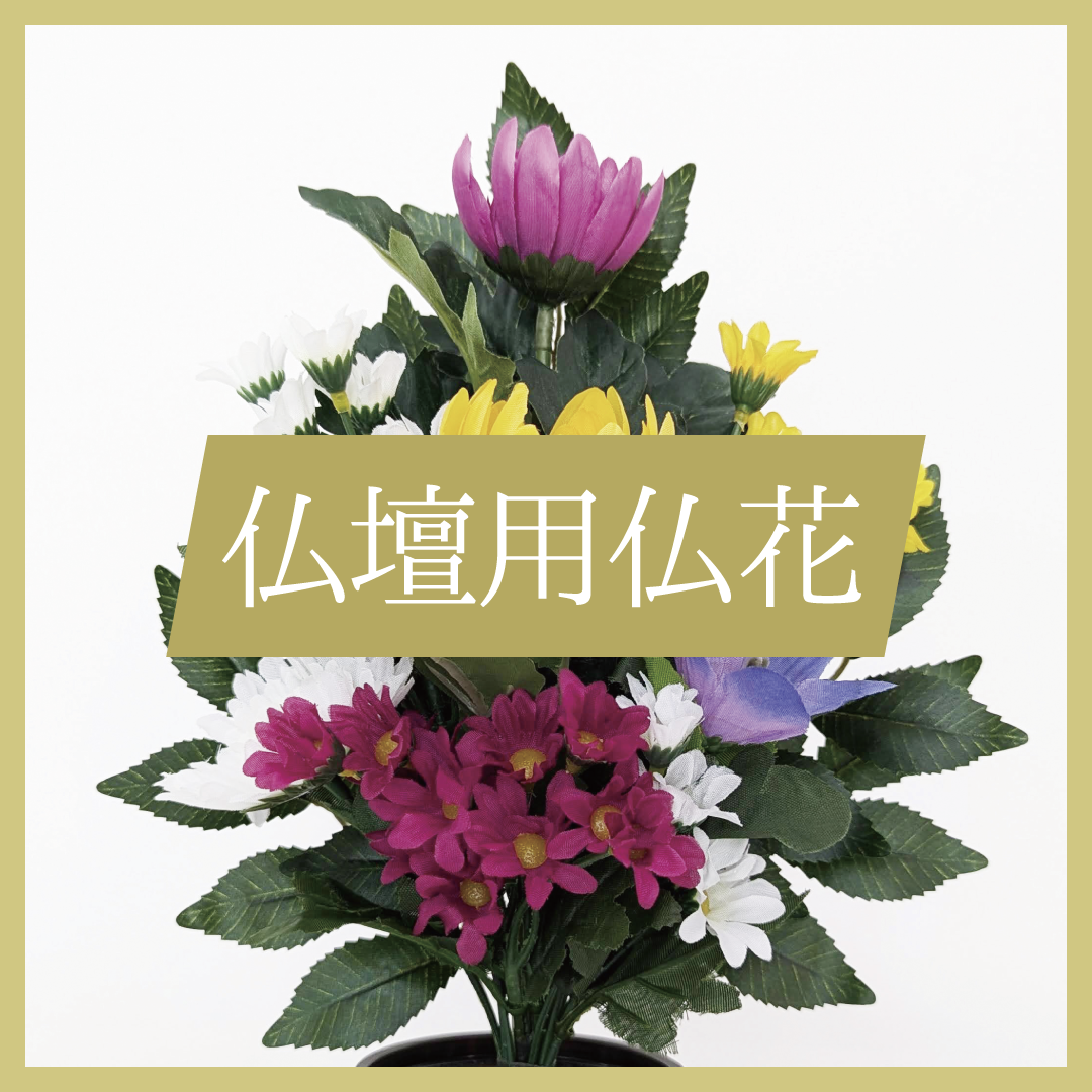 ʩʩ