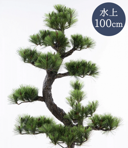 Ωھ 100cm