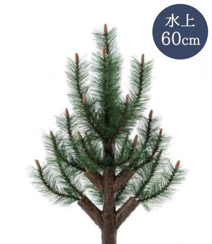 㾾A  60cm ֤碌ž