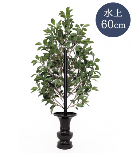  60cm ֤碌ž夲