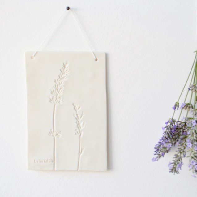Otchipotchi<br>herbarium plate lavender