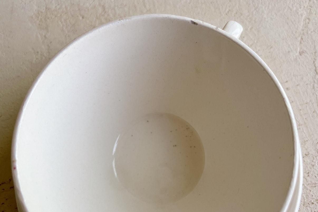 photo1