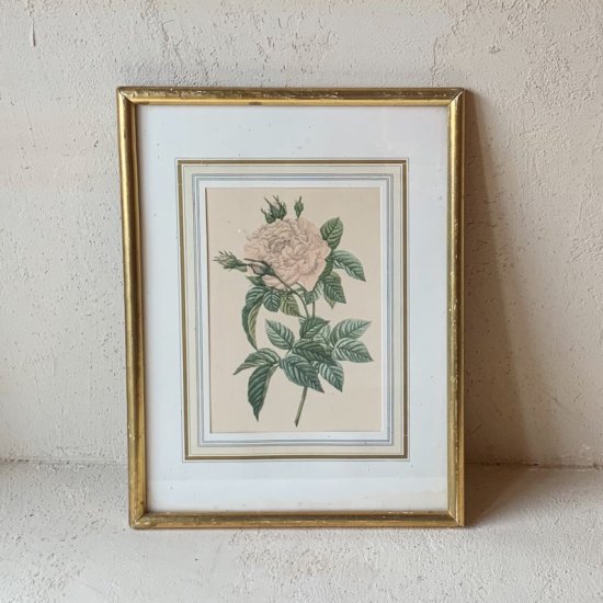 Vintage lithographe rose.a<img class='new_mark_img2' src='https://img.shop-pro.jp/img/new/icons47.gif' style='border:none;display:inline;margin:0px;padding:0px;width:auto;' />