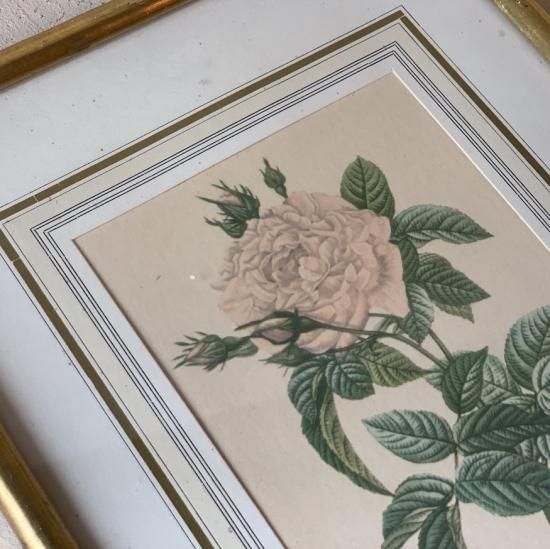 Vintage lithographe rose.a<img class='new_mark_img2' src='https://img.shop-pro.jp/img/new/icons47.gif' style='border:none;display:inline;margin:0px;padding:0px;width:auto;' />