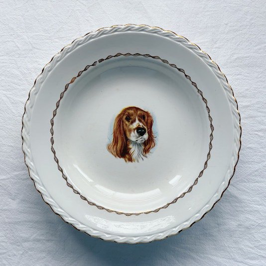 Vintage plate.Cocker Spaniel<img class='new_mark_img2' src='https://img.shop-pro.jp/img/new/icons47.gif' style='border:none;display:inline;margin:0px;padding:0px;width:auto;' />