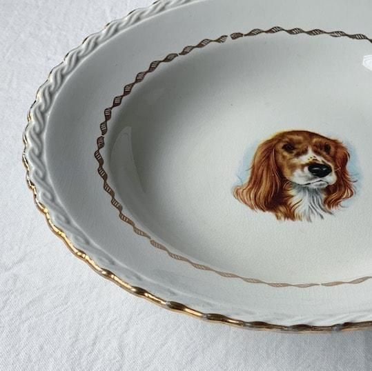 Vintage plate.Cocker Spaniel<img class='new_mark_img2' src='https://img.shop-pro.jp/img/new/icons47.gif' style='border:none;display:inline;margin:0px;padding:0px;width:auto;' />