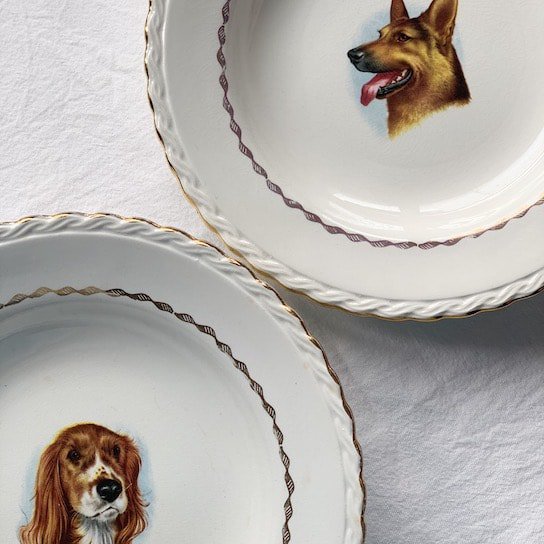 Vintage plate.Cocker Spaniel<img class='new_mark_img2' src='https://img.shop-pro.jp/img/new/icons47.gif' style='border:none;display:inline;margin:0px;padding:0px;width:auto;' />