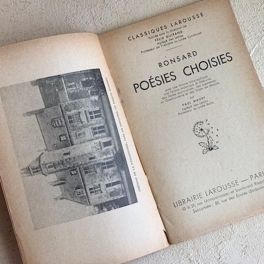 France antique book.c<img class='new_mark_img2' src='https://img.shop-pro.jp/img/new/icons47.gif' style='border:none;display:inline;margin:0px;padding:0px;width:auto;' />