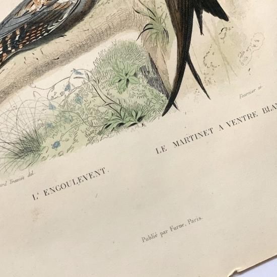 Antique lithographe<img class='new_mark_img2' src='https://img.shop-pro.jp/img/new/icons47.gif' style='border:none;display:inline;margin:0px;padding:0px;width:auto;' />