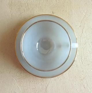 Arcopal C/S lightgray.b