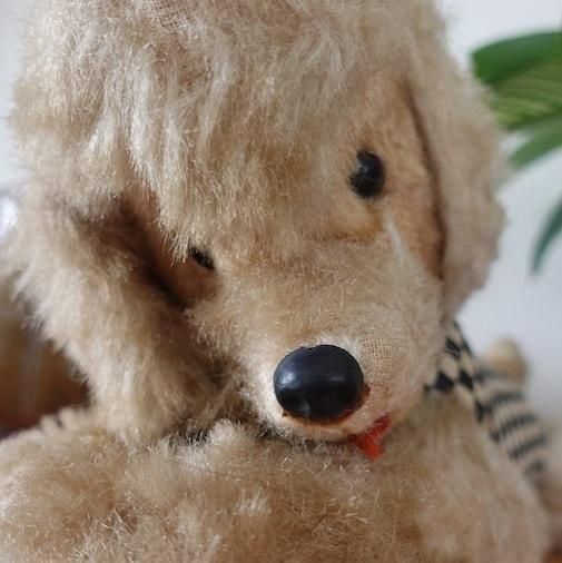 France Antique stuffed dog