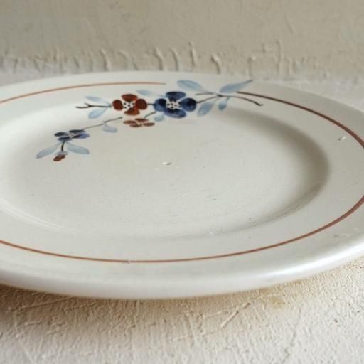 France Antique Sarreguemines plate