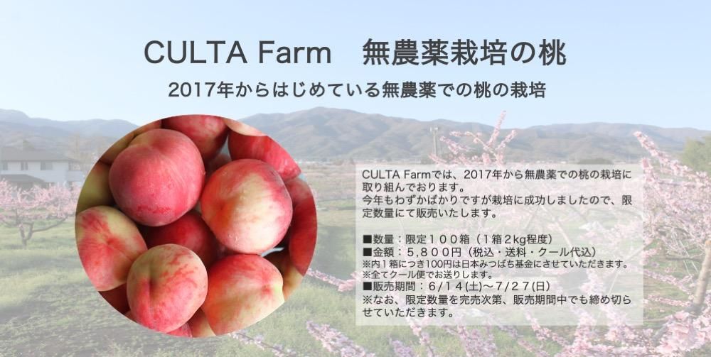 CULTA