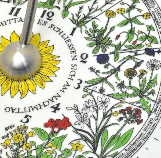 リンネの花時計/日時計 リンネの花時計ガイドブックセット リンネの花時計/日時計 リンネの花時計ガイドブックセット
