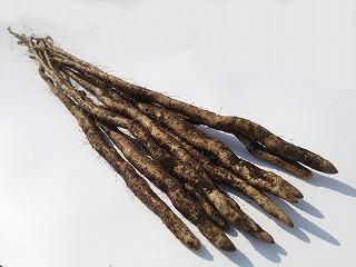 फ/100ܡ200ܤޤǡڻݺѤߡ