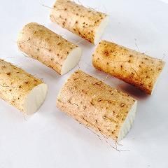 自然薯種芋】切種芋・むかご一本苗 - 矢口農産