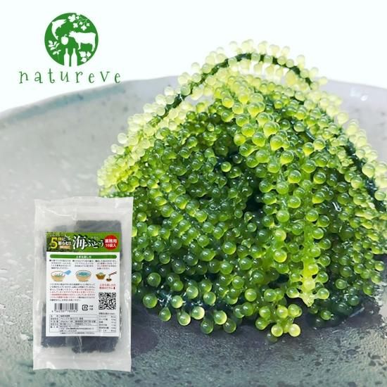 5倍に膨らむ 海ぶどう 業務用パック 小売用パック をご用意 手数料込 Natureve 5倍に膨らむ 海ぶどう 業務用パック 小売用パック をご用意 手数料込 Natureve