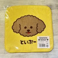 ڥߥ˥ϥ󥫥ۥ ץȥߥ˥ϥ󥫥Ȥס
